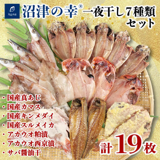 一夜干し 沼津 の幸 7種類 セット 干物 一夜干し