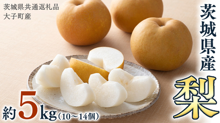 梨 10～14個【2026年9月より発送開始】（茨城県共通返礼品 [梨]：大子町産）