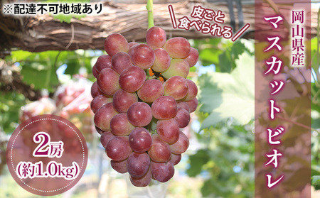 [2026年先行予約] ぶどう 岡山県産 皮ごと 食べられる マスカット ビオレ 種無し 約1.0kg(2房) [2026年9月下旬-10月下旬頃出荷] 葡萄 ブドウ フルーツ 果物 数量限定 期間限定 岡山 里庄町