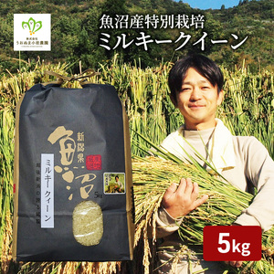 令和7年産 魚沼産ミルキークィーン 精米5kg 米 こめ お米 コメ ミルキー クイーン 新潟県 魚沼市 魚沼 ミルキークイーン 
