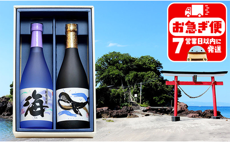 A1-25150／大海酒造 海・くじら　720ml　2本セット