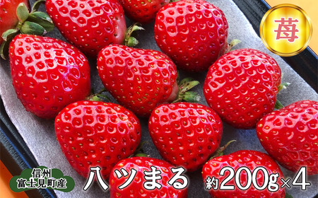 ブランドいちご　八ツまる 約200g×4パック