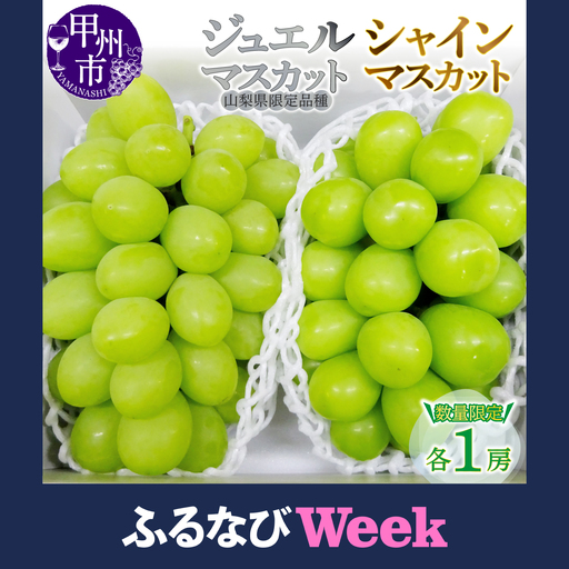 【ふるなびWEEK対象】ジュエルマスカットとシャインマスカット2房セット【2026年発送】（MG）B15-480