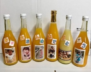 愛媛みかん記念日オーダージュース（6本セット） ATI0030