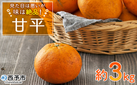 【先行予約】＜見た目は悪いが味は絶品 無茶々園の甘平 約3kg（15玉前後）＞果物 かんぺい みかん 蜜柑 柑橘 フルーツ 期間限定 季節限定 数量限定 無茶々園 特産品 愛媛県 西予市【常温】『2027年2月上旬頃から順次出荷予定』AMC0013