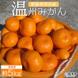 安樹屋 愛媛県明浜産 温州みかん（南柑20号） ５kg（家庭用） AYK0001