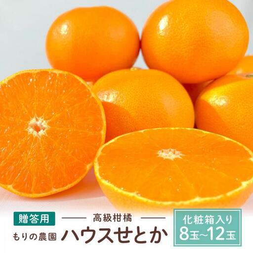 贈答用ハウスせとか化粧箱8玉～12玉｜瀬戸内産 せとか