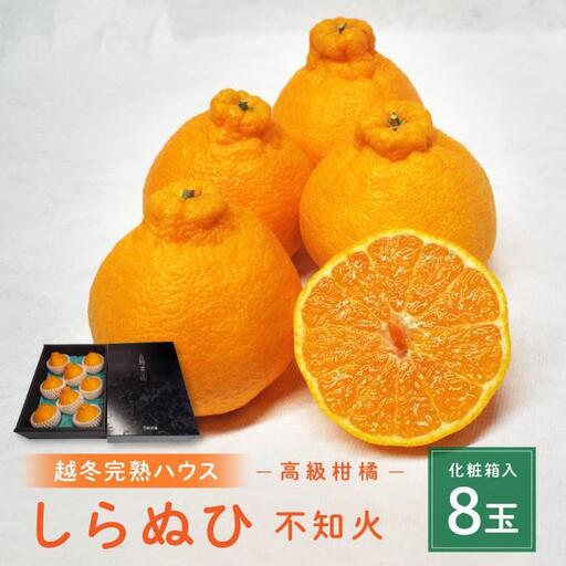 贈答用 越冬完熟ハウスしらぬひ 化粧箱8玉|みかん 柑橘 しらぬい 不知火 しらぬい 尾道市