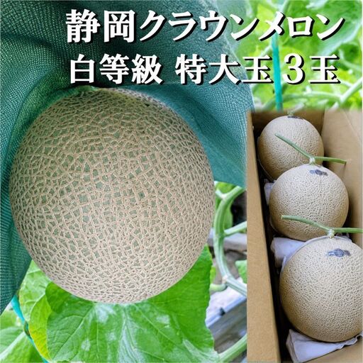 クラウンメロン マスクメロン 並 白等級 特大玉 クラウンメロン【約1.5kg 3玉】