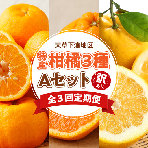S040-T02A_[定期便3回]天草 下浦地区特産の柑橘3種Aセット(訳あり)[先行受付]