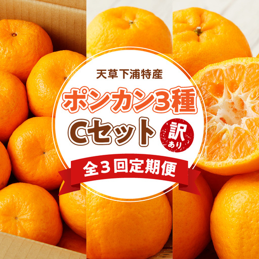 S040-T07A_[定期便3回]天草 下浦特産ポンカン3種Cセット(訳あり)[先行受付]