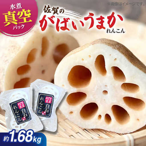 水煮れんこん 約120g×14袋（カット有り/真空パック） / れんこん [IBN003]