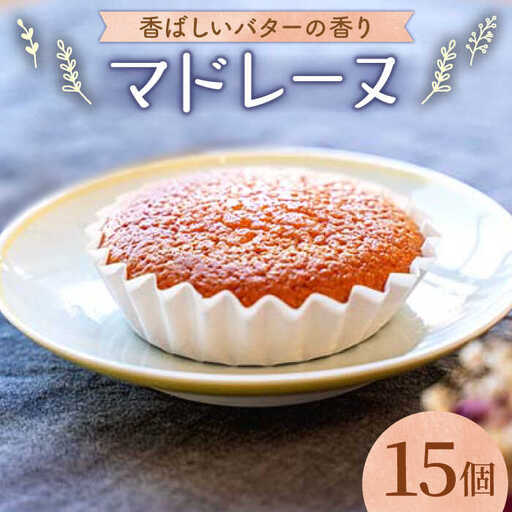 昔マドレーヌいちむら×15個 / 洋菓子 