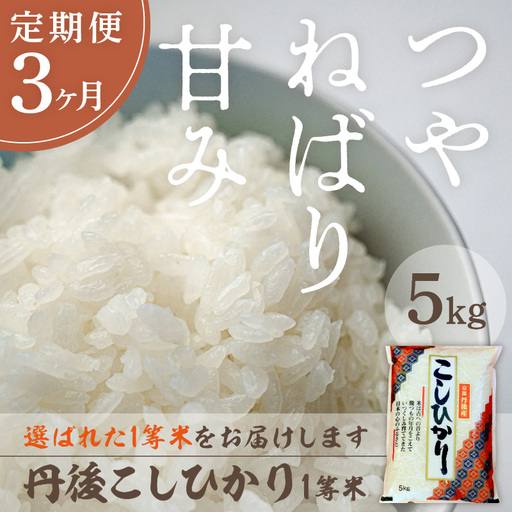 【定期便3回】令和8年産 丹後こしひかり 5kg×3ヵ月 1等米　お米 コメ こめ 丹後 コシヒカリ 精米 ふるさと 納税 コシヒカリ 精米 ふるさと 納税 こしひかり 精米 ふるさと 納税 米