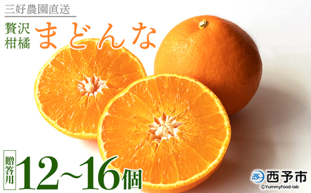 紅まどんなと同品種！＜贅沢柑橘「まどんな」贈答用 12～16個入り＞ 果物 フルーツ 愛媛果試第28号 みかん 蜜柑 ミカン オレンジ マドンナ ギフト 贈り物 特産品 三好農園 西宇和 愛媛県 西予市【常温】『2025年11月下旬～2026年1月上旬迄に順次出荷予定』MMN0005
