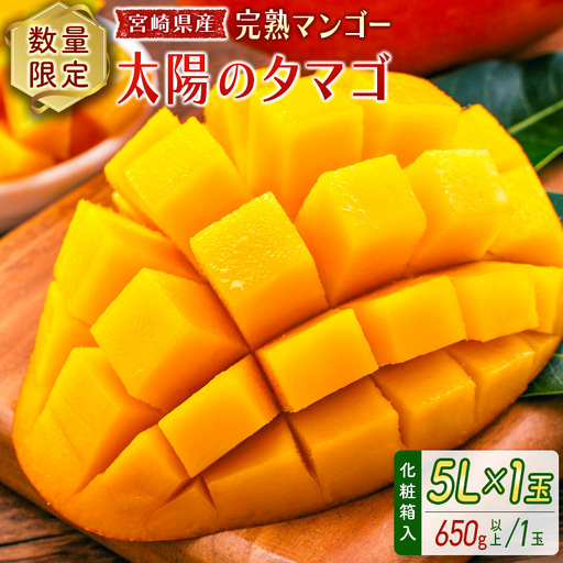 2027年出荷 宮崎 完熟マンゴー 太陽のタマゴ 5L×1玉 650g以上 D114-27