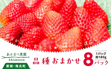 [2027年春収穫分][品種お任せ] いちご8パック | レッドパール 紅い雫 紅ほっぺ イチゴ 苺 フルーツ あかまつ農園 ※2027年2月〜発送