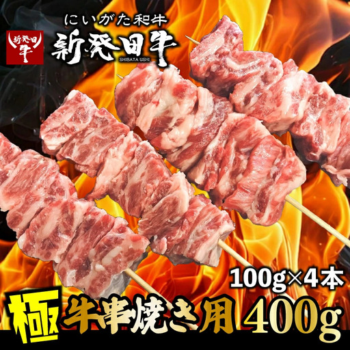 新発田牛 牛串  400g  黒毛和牛 ブランド牛 焼くだけ簡単 牛串 enomoto018