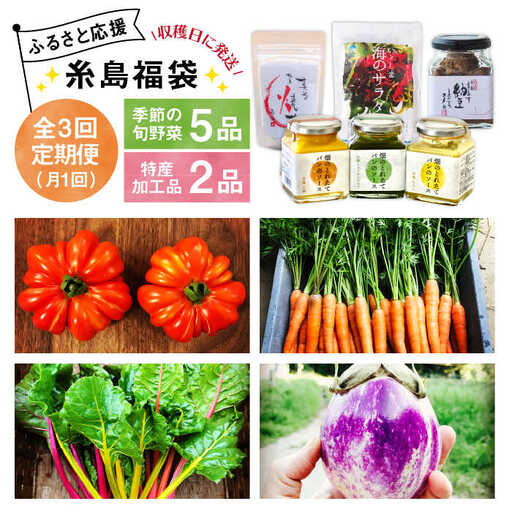 【 全3回 定期便 】朝採り オーガニック 旬 野菜 お任せ 5品 ＋ 糸島産 大ヒット 特産 加工品 2品 のセット《糸島》【オーガニックナガミツファーム】	[AGE029]
