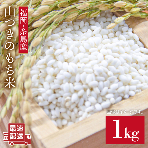 福吉産・ 山つき の もち米 1kg [糸島][二丈赤米産直センター] [ABB027] 糯米 餅 おこわ