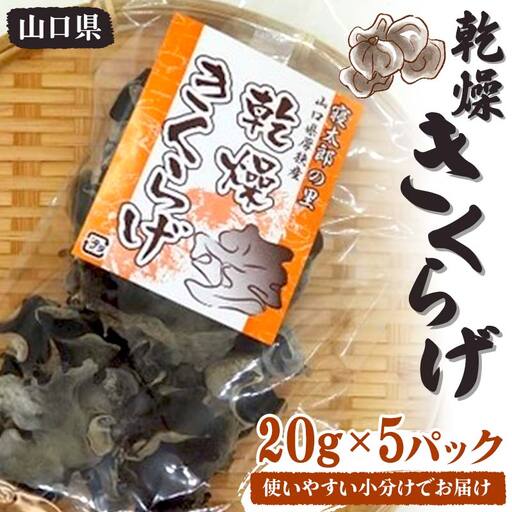 乾燥きくらげ 20g×5パック 100g 小分け 使いやすい きくらげ 乾燥 小分け 乾物 保存食 低カロリー 料理 ご当地 グルメ 食品 山口県 山陽小野田 F6L-650
