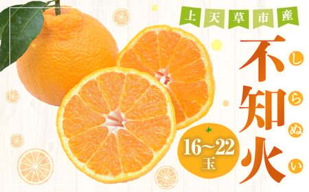 【先行受付】不知火 約5kg（16玉～22玉） 柑橘 みかん 蜜柑 ミカン デコポン フルーツ 果物 果実 カットフルーツ 天草 熊本県 上天草市 【2027年3月下旬～5月上旬順次発送予定】