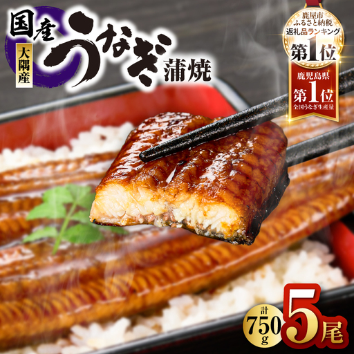 【 土用の丑の日特集 】1633 鹿児島県大隅産 うなぎ蒲焼 5尾（750g） KN007-005-01 うなぎ 鰻 魚 惣菜 総菜