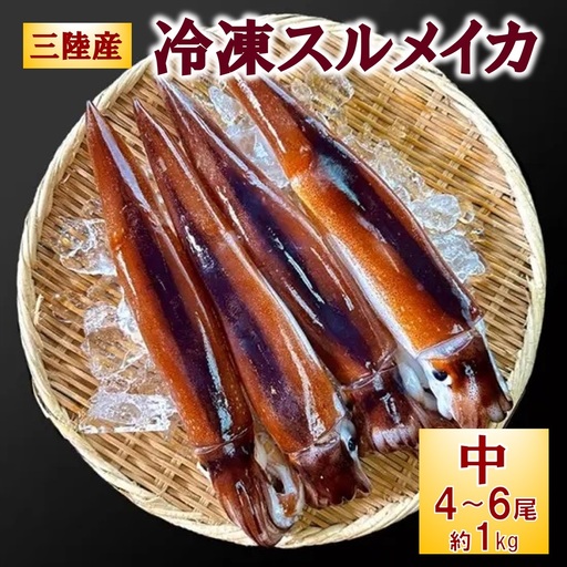 冷凍スルメイカ 中 ４本～６本 （約１kg前後） いか 刺身 いかめし イカの塩辛 イカ焼き