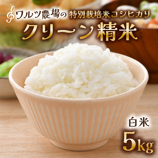 【先行予約】【令和8年産 新米】ワルツ農場のコシヒカリ クリーン精米 5kg 特別栽培米【納得の美味しさ】減農薬 有機肥料使用 / お米 ご飯 白米 発送直前 精米 つや 艶 甘味 旨み 北陸 あわら市産 福井県産 ブランド米 ※2026年10月下旬以降発送予定 [aw046-a009]