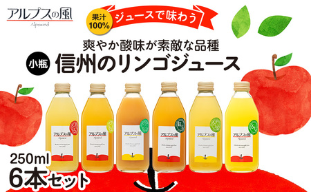 果汁100%ジュースで味わう 爽やか酸味が素敵な品種 リンゴジュース 小瓶 6本 セット 詰め合わせ ジュースで味わう信州のリンゴ 酸味爽やか りんご 林檎 アップル アップルジュース 無添加 飲料 飲料類 甘い 濃厚 長野 長野県
