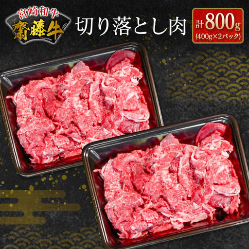 齋藤牛 切り落とし肉（400g×2P）計800g【B548】