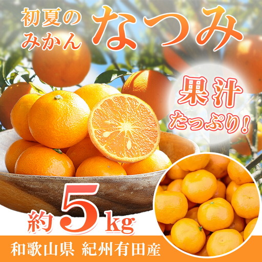 【2027年先行予約】初夏のみかん なつみ5kg_G7072