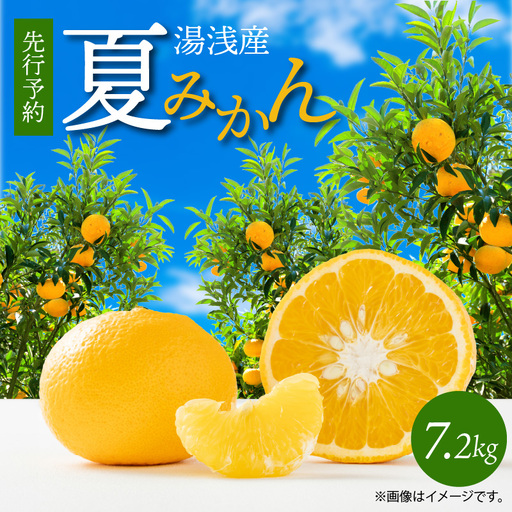 【2027年先行予約】湯浅産 夏みかん 7.2kg_G7074