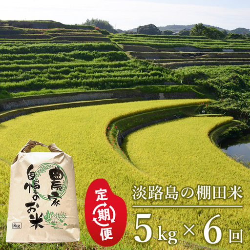 【定期便】淡路島の棚田米　5kg×6回（毎月発送）白米