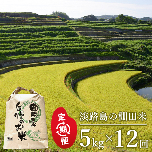 【定期便】淡路島の棚田米　5kg×12回（毎月発送）白米