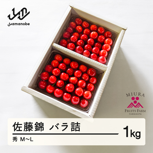 《先行予約》2027年 山形県産 令和9年産 さくらんぼ 佐藤錦 バラ詰1kg 秀 M~Ｌ ※沖縄・離島への配送不可  F20A-898