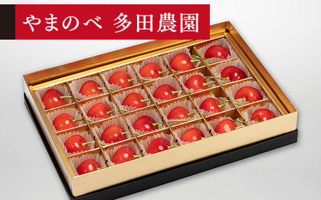 [先行予約]2027年産 山形県産 珠玉紅秀峰 みやび箱24/粒 やまのべ多田耕太郎のさくらんぼ サクランボ F20A-040