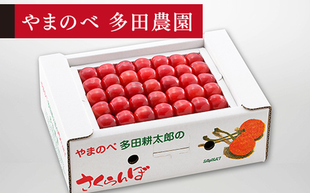 《先行予約》2027年産 山形県産 佐藤錦 本詰め 約500g L-2L やまのべ多田耕太郎のさくらんぼ サクランボ F20A-042
