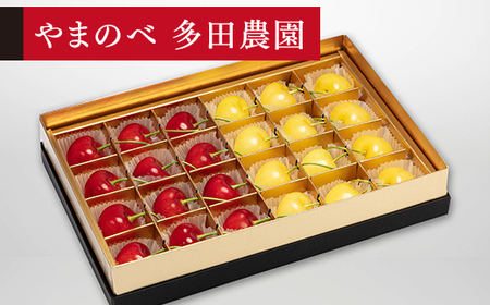 [先行予約]2027年産 山形県産 月山錦・紅秀峰 みやび箱詰 やまのべ多田耕太郎のさくらんぼ サクランボ F20A-045