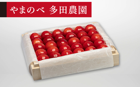 [先行予約]2027年産 山形県産 特選紅秀峰 桐箱詰め 約300g 2L以上 やまのべ多田耕太郎のさくらんぼ サクランボ F20A-049