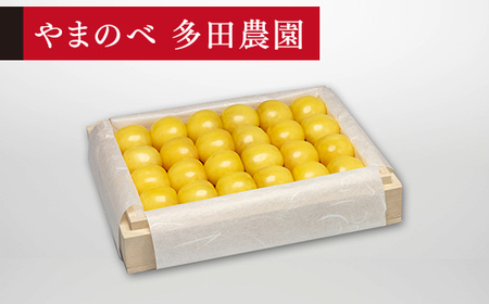 [先行予約]2027年産 山形県産 特選月山錦 桐箱詰め約300g やまのべ多田耕太郎のさくらんぼ サクランボ F20A-051