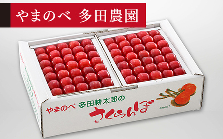 [先行予約]2027年産 山形県産 佐藤錦 本詰 約1kg L-2Lやまのべ多田耕太郎のさくらんぼ サクランボ F20A-053