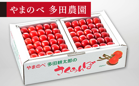 [先行予約]2027年産 山形県産 紅秀峰 本詰約1kg 2L やまのべ多田耕太郎のさくらんぼ サクランボ F20A-054