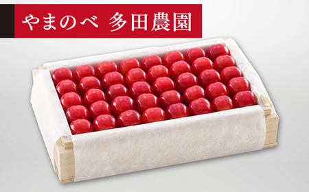 《先行予約》2027年産 山形県産 特選佐藤錦 桐箱詰め 約700g 2L やまのべ多田耕太郎のさくらんぼ サクランボ F20A-055