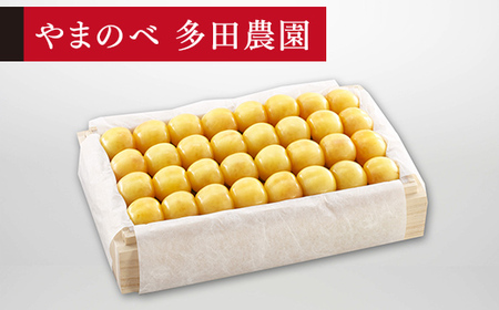 [先行予約]2027年産 山形県産 特選月山錦 桐箱 約700g 2L以上 やまのべ多田耕太郎のさくらんぼ サクランボ F20A-058