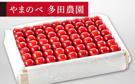 《先行予約》2027年産 山形県産 特選紅秀峰 桐箱詰め 約1100g 2L以上 やまのべ多田耕太郎のさくらんぼ サクランボ F20A-061