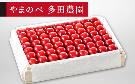 《先行予約》2027年産 山形県産 特選「真夏のルビー紅姫」 桐箱詰め 約1100g やまのべ多田耕太郎のさくらんぼ サクランボ F20A-062