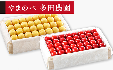 [先行予約]2027年産 山形県産 月山錦・紅秀峰 桐箱詰め 約700g×2(2L以上)やまのべ多田耕太郎のさくらんぼ サクランボ F20A-065