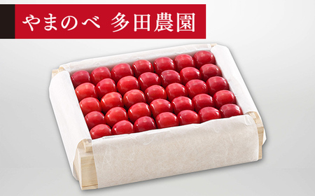 [先行予約]2027年産 山形県産 特選佐藤錦 桐箱詰め 約500g 2L やまのべ多田耕太郎のさくらんぼ サクランボ F20A-505