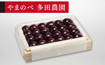 [先行予約]2027年産 山形県産 特選サミット 桐箱詰め 約300g やまのべ多田耕太郎のさくらんぼ サクランボ F20A-785